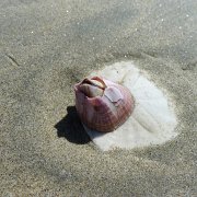 Baja2011 069 : Baja2011